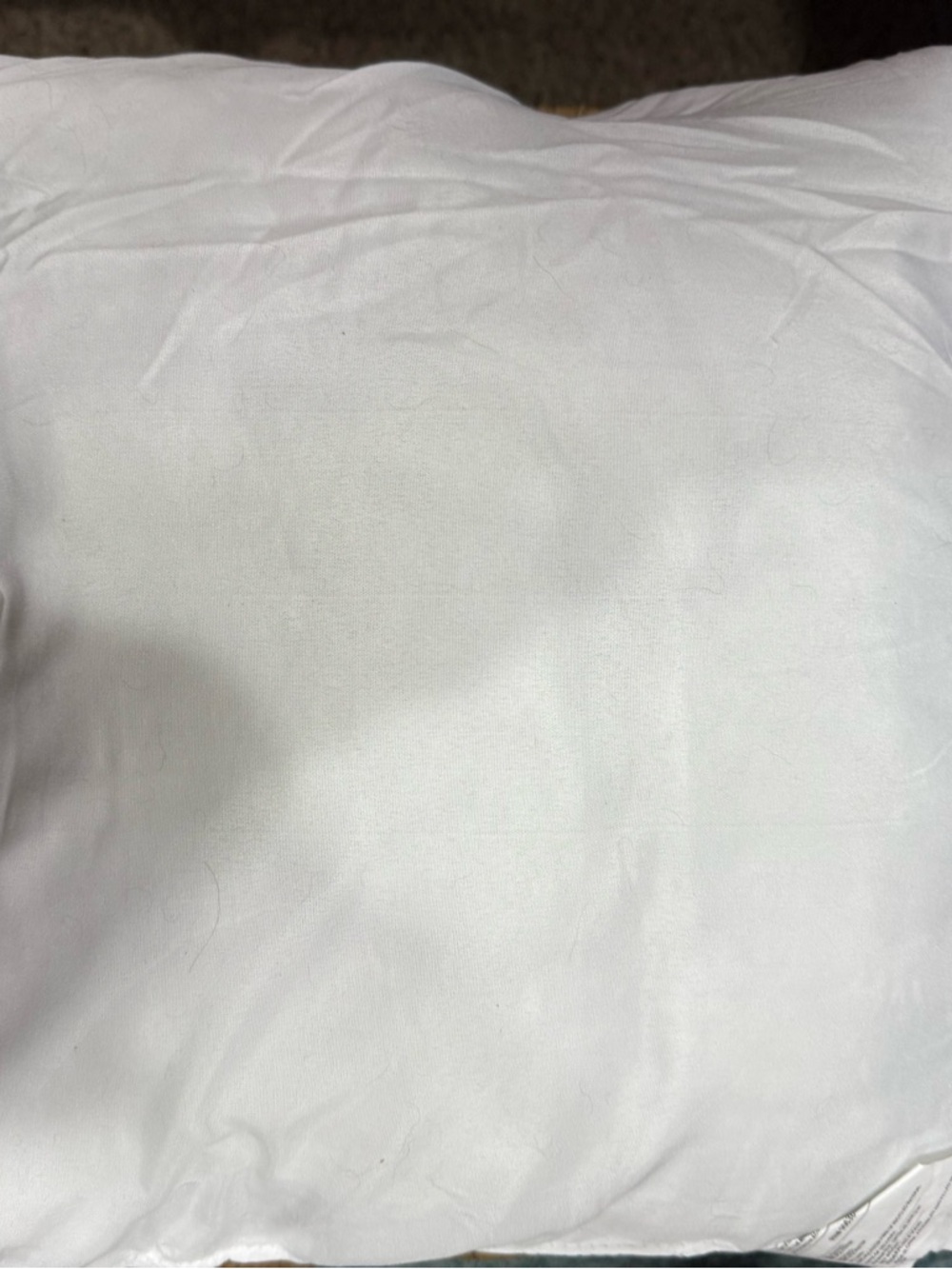 White Throw Pillow Insert 20” x 20”